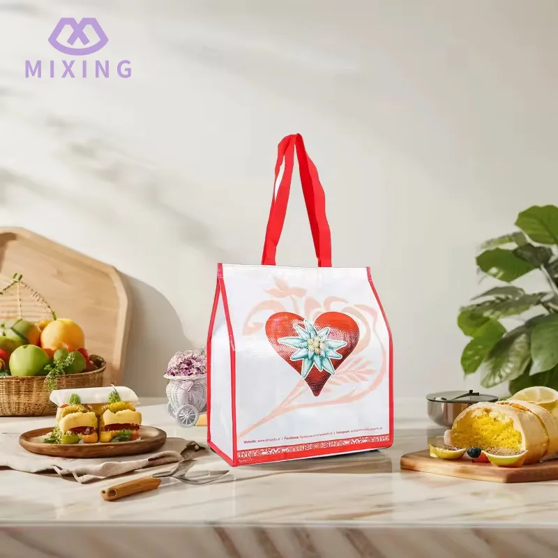 Laminated PP Woven Cooler Bag